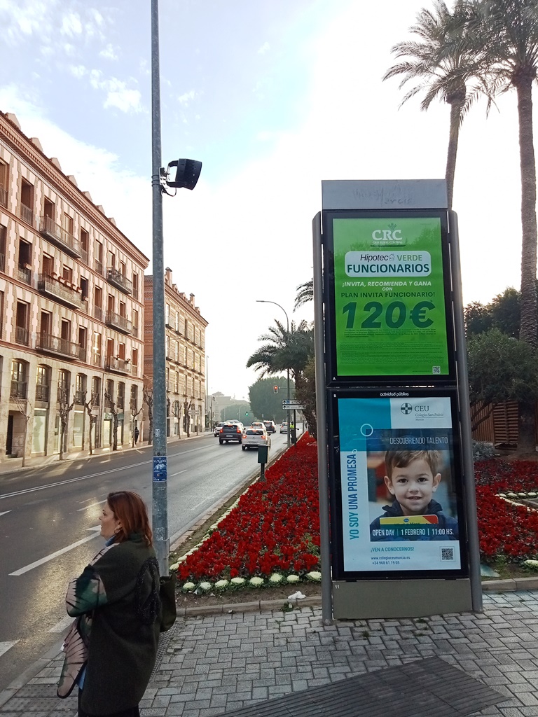 Mupi doble en el Almudí