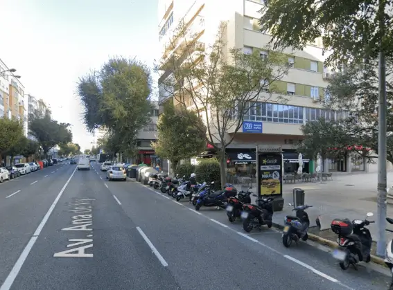 Mupis en el Paseo Marítimo de Cádiz
