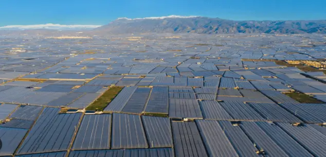 Soportes publicitarios en la Zona de Invernaderos de El Ejido