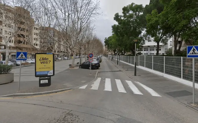 Mupis en el centro urbano de Oliva