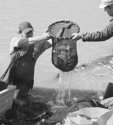 Degustación en la Fiesta del Pescado de Estero