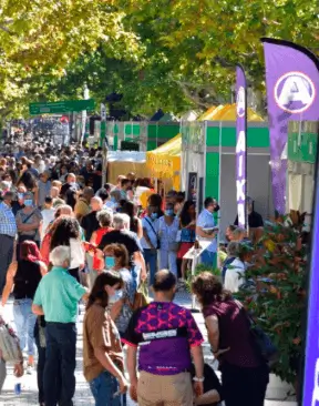 Feria multisectorial de Igualada