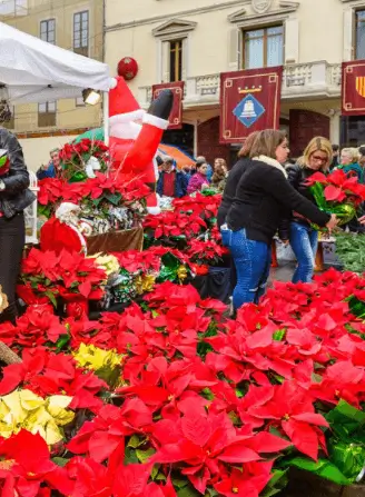 Fira de la Puríssima Sant Boi Fira de la Puríssima Sant Boi de Llobregat