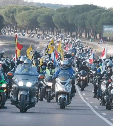 Pingüinos Valladolid Pingüinos Valladolid