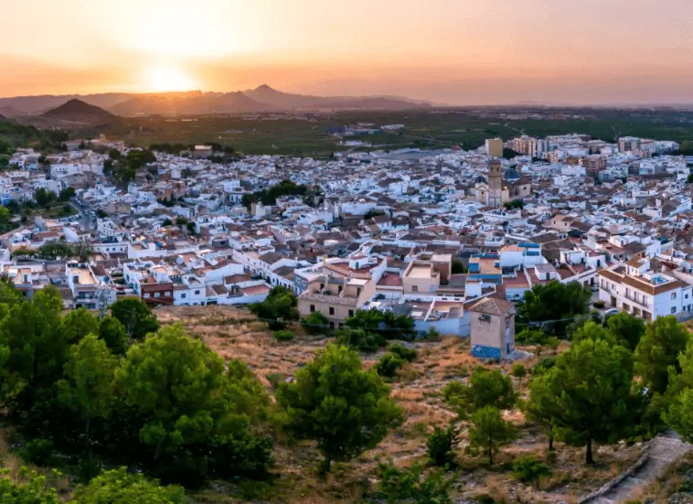 Mupis y marquesinas en Oliva